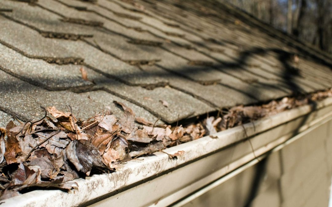 Spring in the Twin Cities: How Spring Storms Can Damage Your Roof